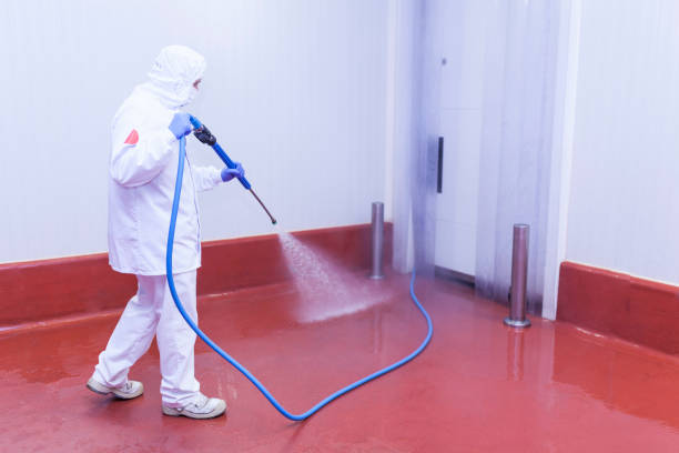 Best Spring Cleaning  in Harmony Grove, CA
